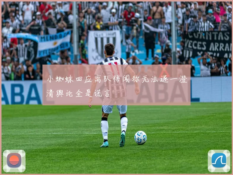 小蜘蛛回应离队传闻称无法逐一澄清舆论全是谎言